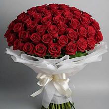 Букет 101 Красная роза Блэк Мэджик в ЗАТО Сибирском