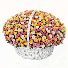 Премиум букет из: Розы в ЗАТО Сибирском