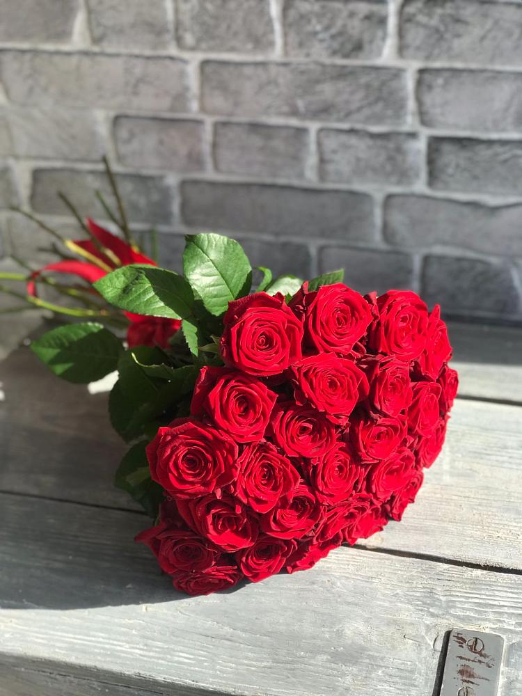 Букет Красные розы Фридом в ЗАТО Сибирском