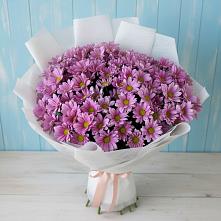 Букет цветов из:  Хризантемы в ЗАТО Сибирском