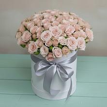 Цветочная композиция из Розы в шляпной коробке в ЗАТО Сибирском