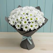 Букет цветов из:  Хризантемы #REPLACE_PRED# ЗАТО Сибирском