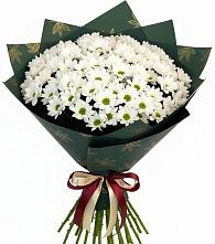 Букет цветов из:  Хризантемы в ЗАТО Сибирском