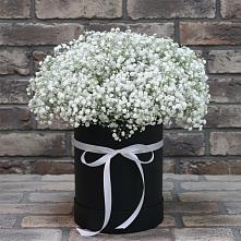 Цветочная композиция из Гипсофила в шляпной коробке в ЗАТО Сибирском