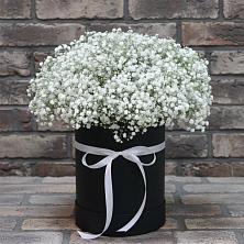 Цветочная композиция из Гипсофила в шляпной коробке в ЗАТО Сибирском