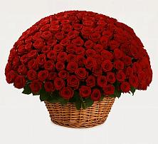 Премиум букет из: Розы #REPLACE_PRED# ЗАТО Сибирском