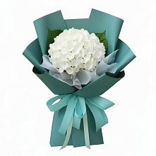 Букет цветов из:  Гортензия #REPLACE_PRED# ЗАТО Сибирском